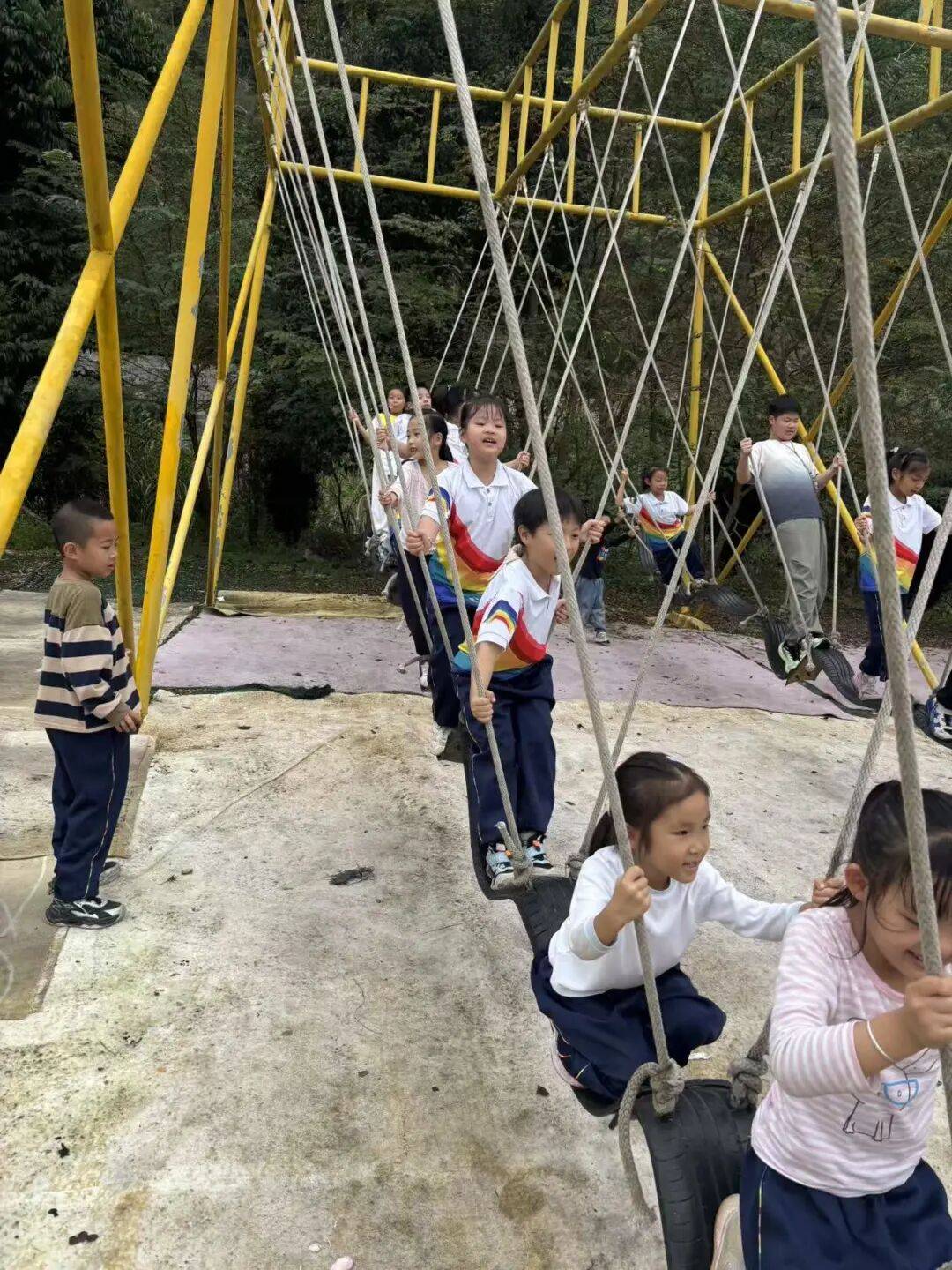 实践——三明市实验小学一年级（5）班社会