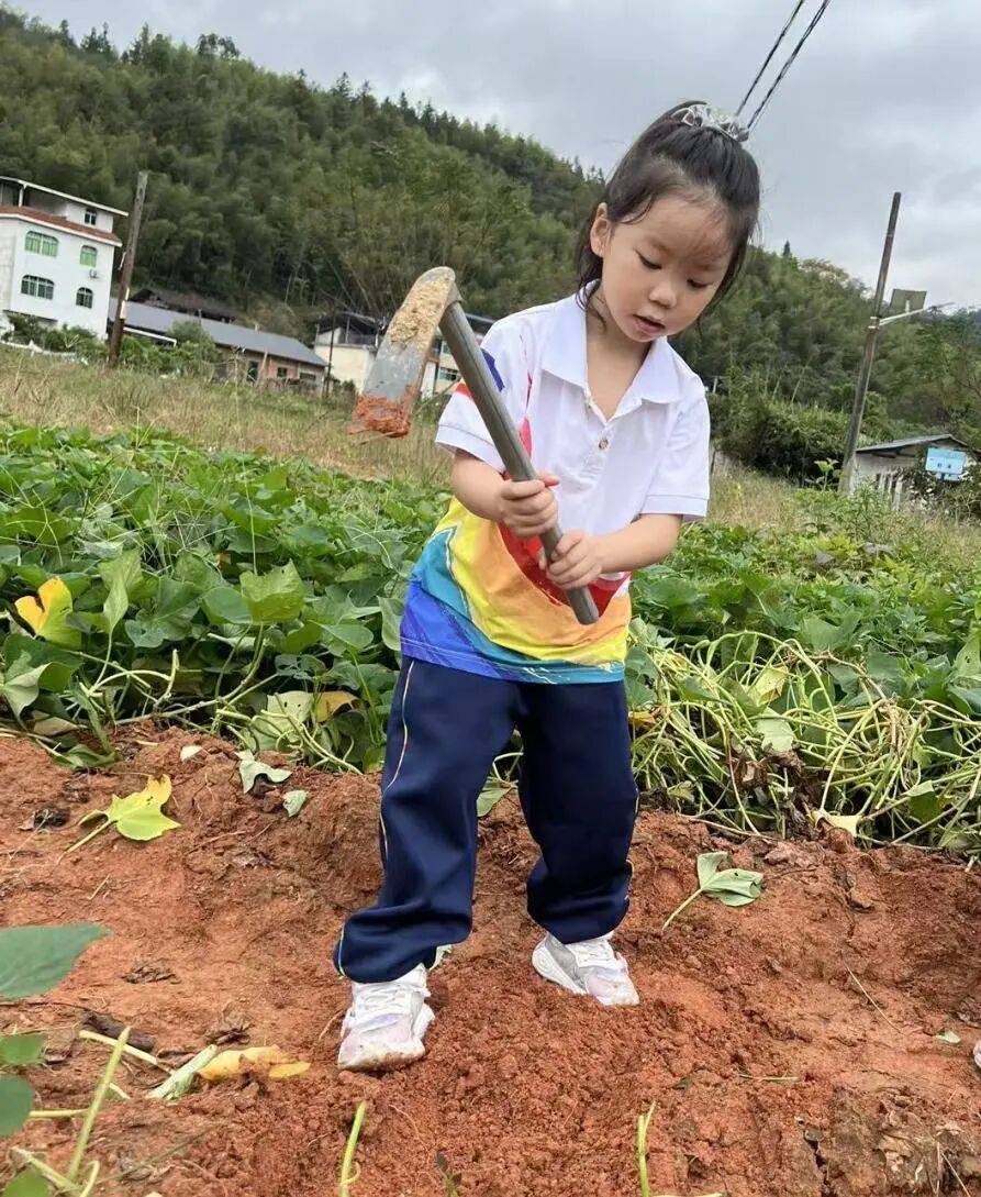 实践——三明市实验小学一年级（5）班社会活动不朽情缘平台登录入口社会实践｜不负秋光趣享(图2)